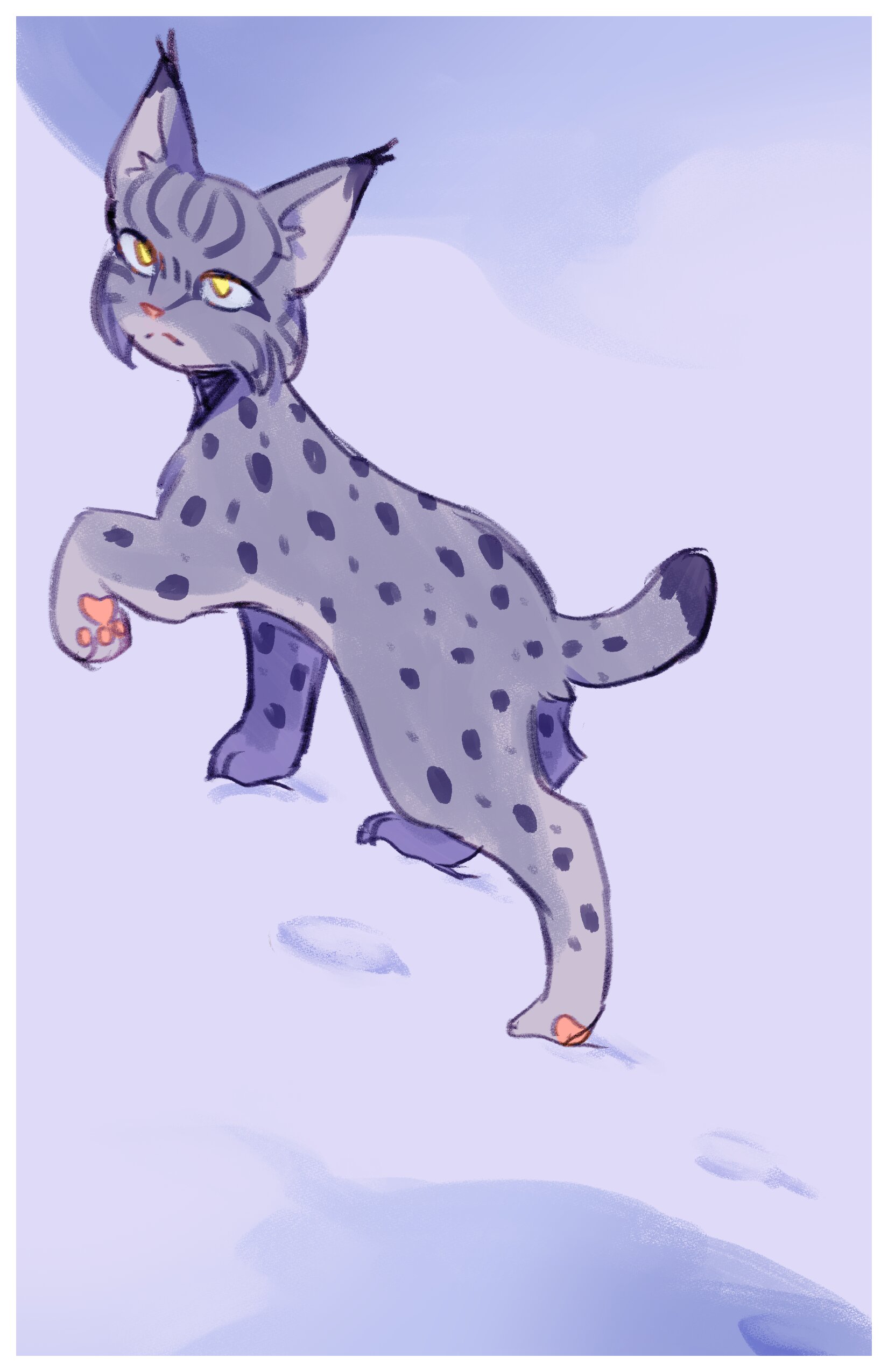 A drawing of a bobcat with a white border.