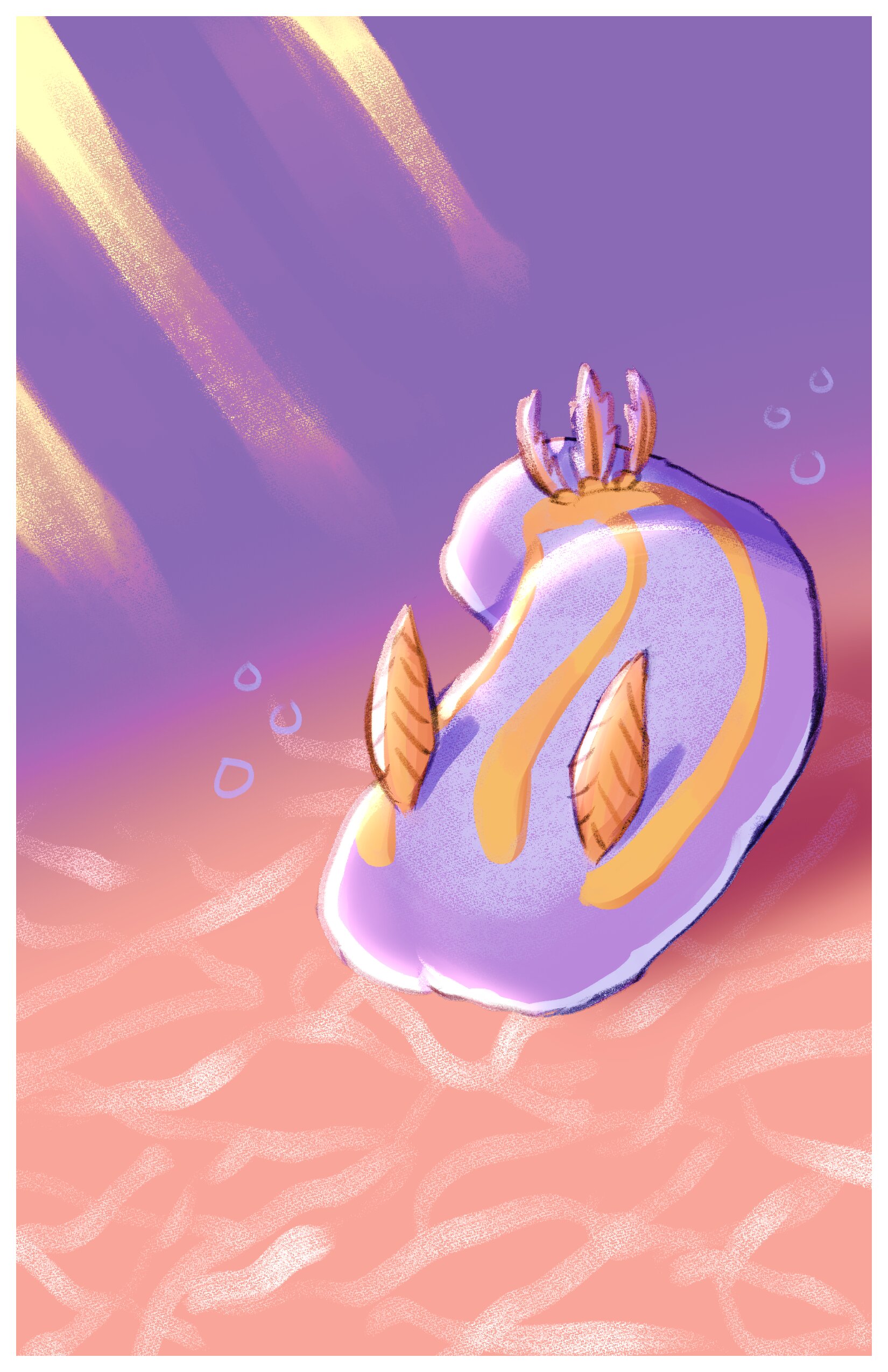 A drawing of a nudibranch with a white border.
