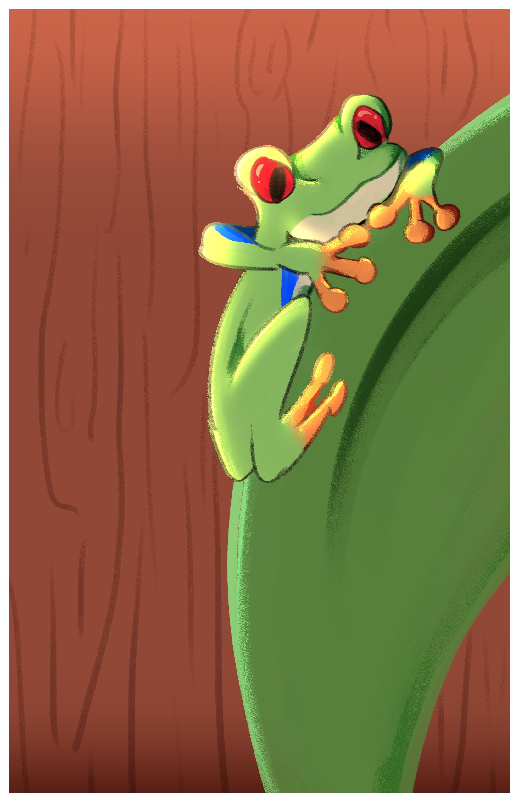 A drawing of a tree frog with a white border.