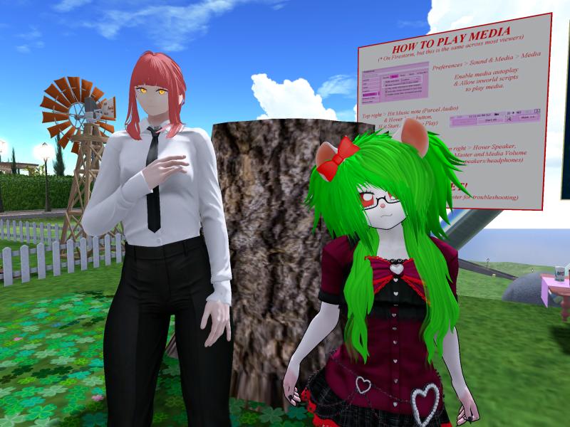 A compressed screenshot from Second Life of my adventures.