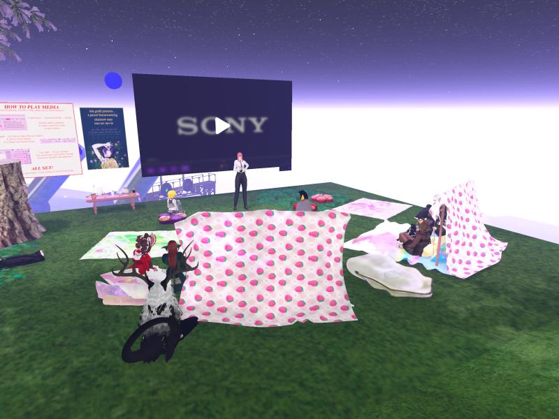 A compressed screenshot from Second Life of my adventures.