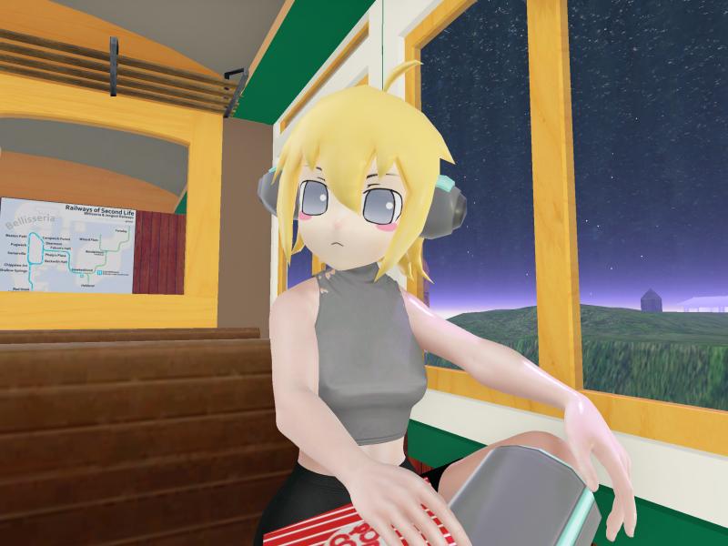 A compressed screenshot from Second Life of my adventures.