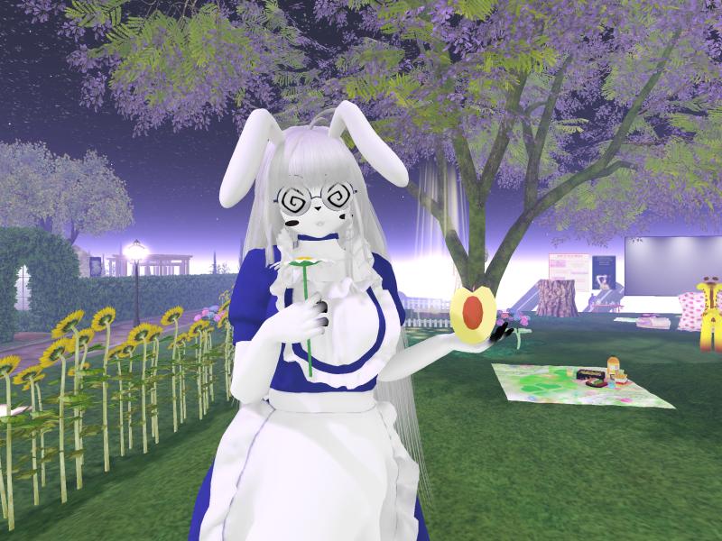 A compressed screenshot from Second Life of my adventures.