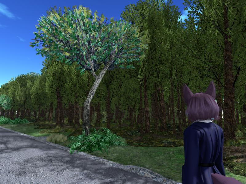 A compressed screenshot from Second Life of my adventures.