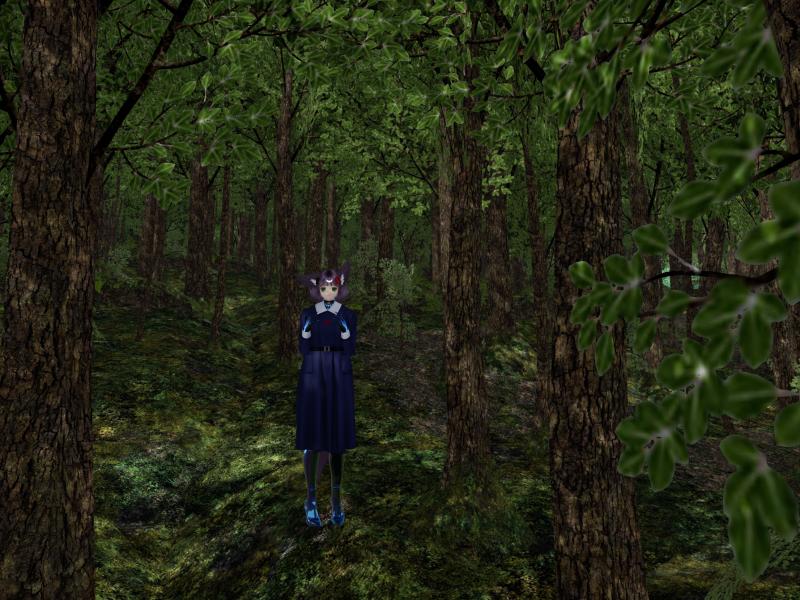 A compressed screenshot from Second Life of my adventures.