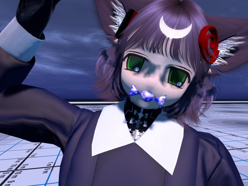 A compressed screenshot from Second Life of my adventures.