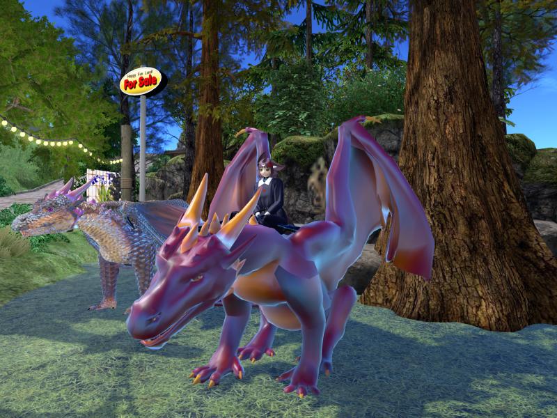 A compressed screenshot from Second Life of my adventures.