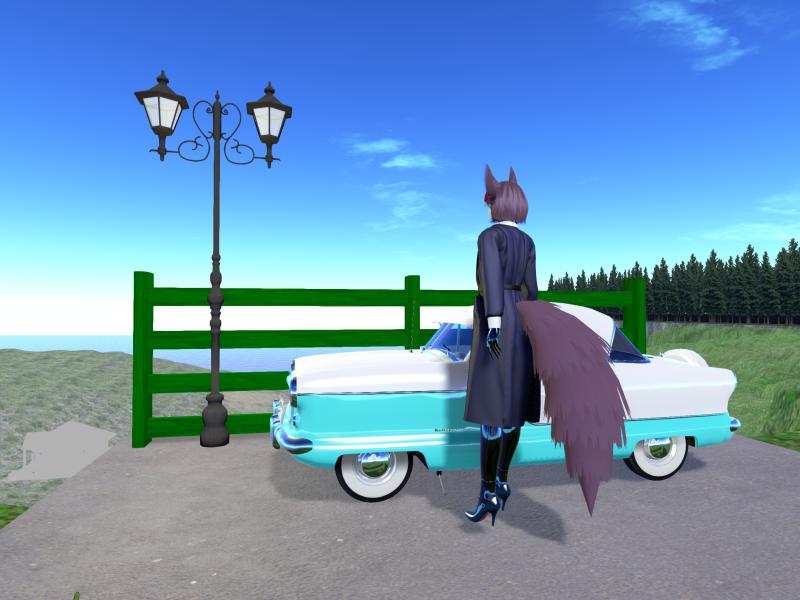 A compressed screenshot from Second Life of my adventures.
