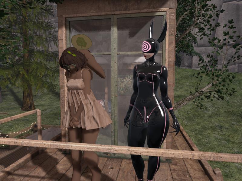 A compressed screenshot from Second Life of my adventures.