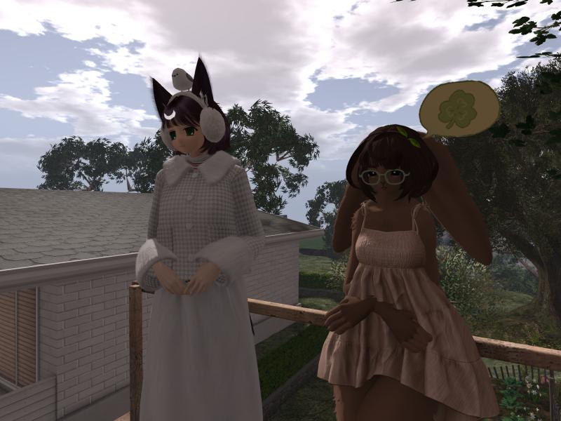 A compressed screenshot from Second Life of my adventures.