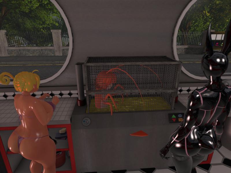 A compressed screenshot from Second Life of my adventures.