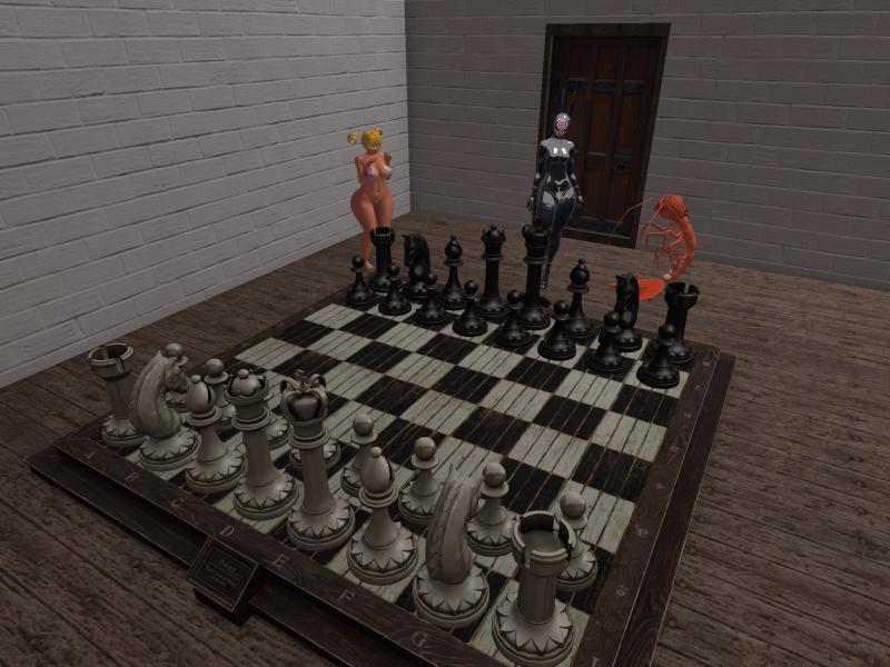 A compressed screenshot from Second Life of my adventures.