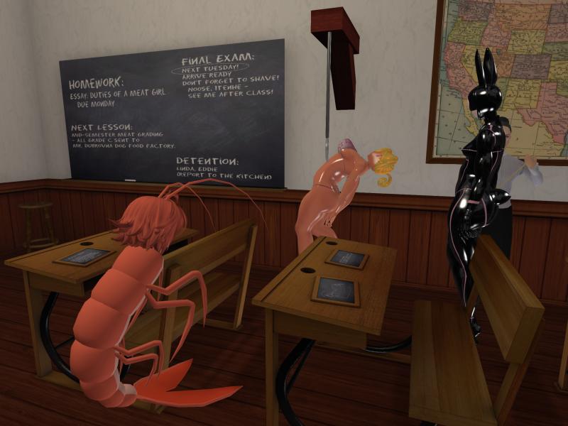 A compressed screenshot from Second Life of my adventures.