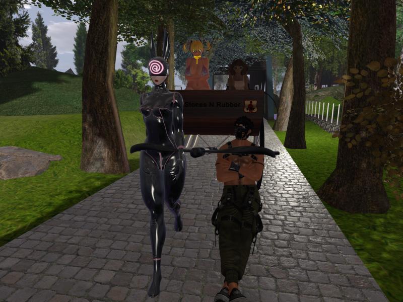 A compressed screenshot from Second Life of my adventures.