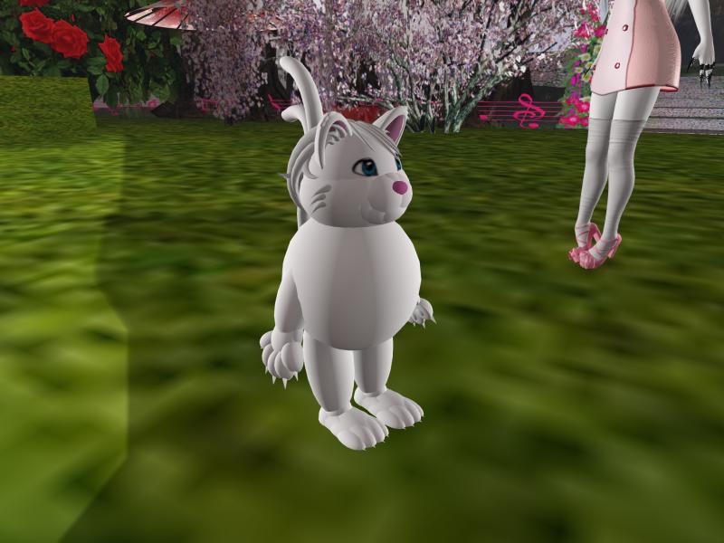 A compressed screenshot from Second Life of my adventures.