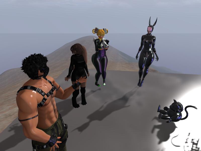 A compressed screenshot from Second Life of my adventures.