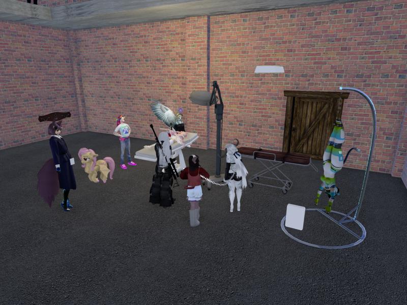 A compressed screenshot from Second Life of my adventures.