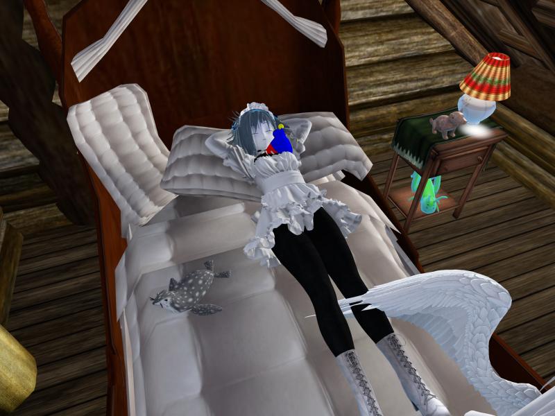 A compressed screenshot from Second Life of my adventures.