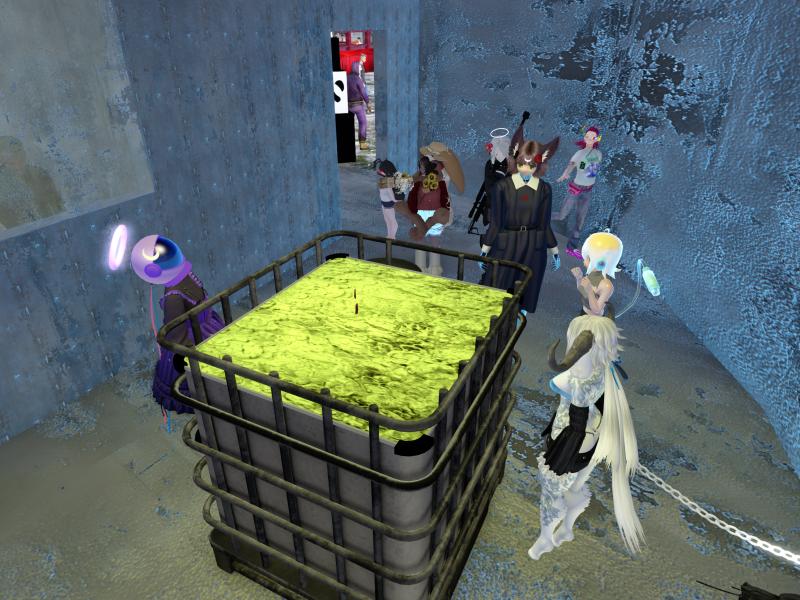A compressed screenshot from Second Life of my adventures.
