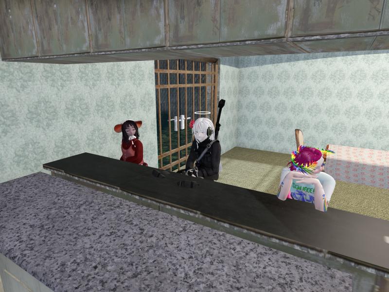 A compressed screenshot from Second Life of my adventures.