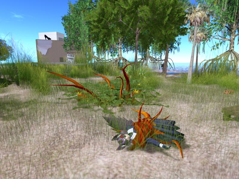 A compressed screenshot from Second Life of my adventures.