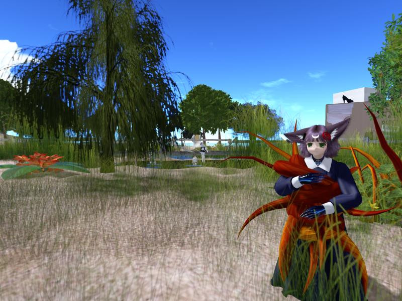 A compressed screenshot from Second Life of my adventures.