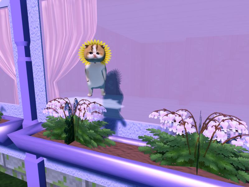 A compressed screenshot from Second Life of my adventures.