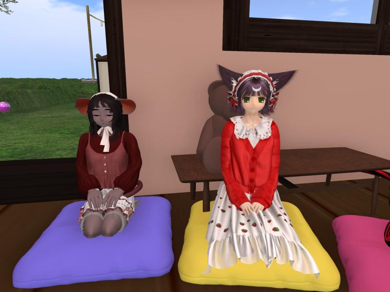 A compressed screenshot from Second Life of my adventures.