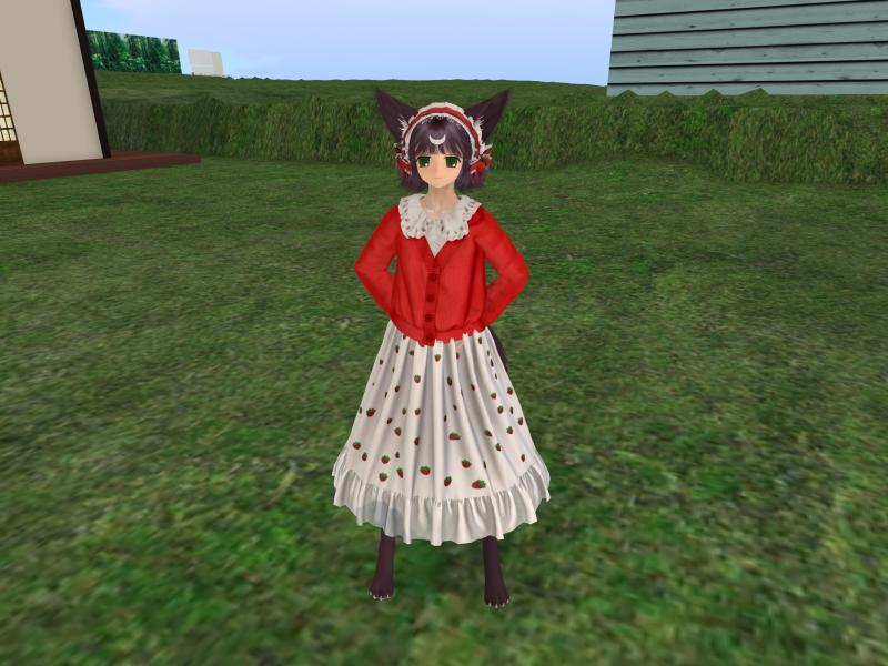 A compressed screenshot from Second Life of my adventures.