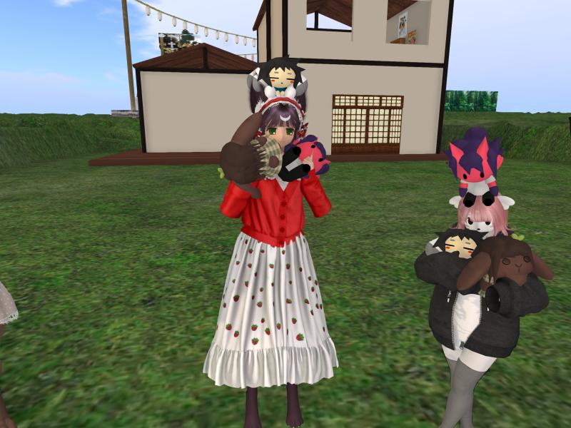 A compressed screenshot from Second Life of my adventures.