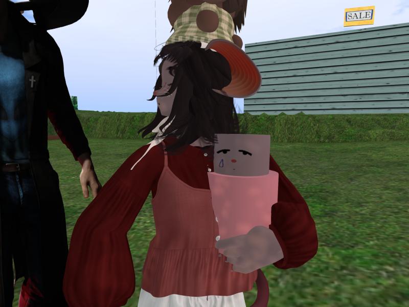 A compressed screenshot from Second Life of my adventures.