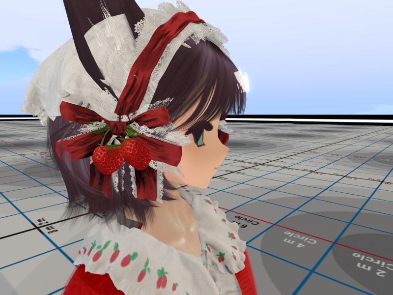 A compressed screenshot from Second Life of my adventures.