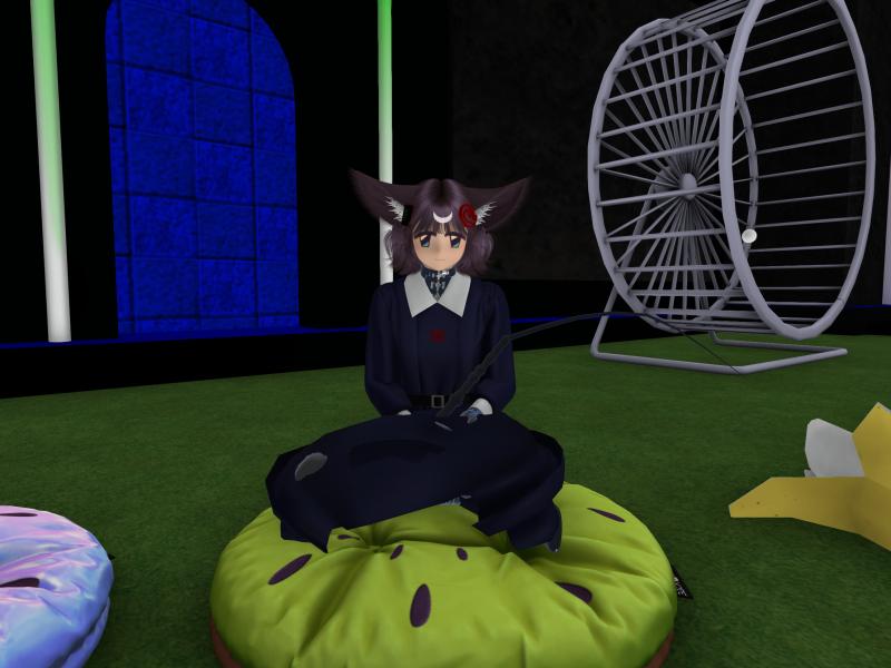 A compressed screenshot from Second Life of my adventures.