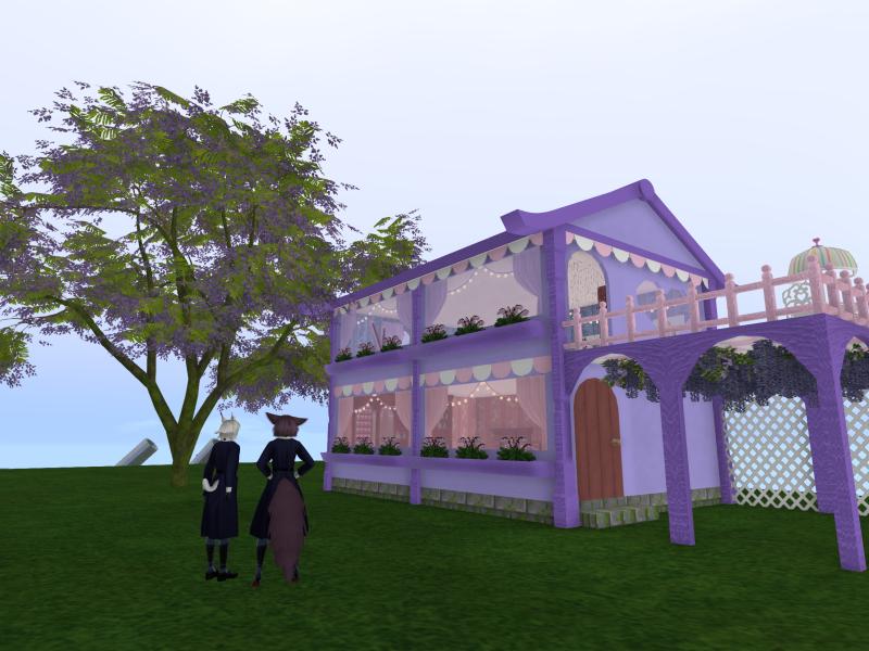 A compressed screenshot from Second Life of my adventures.