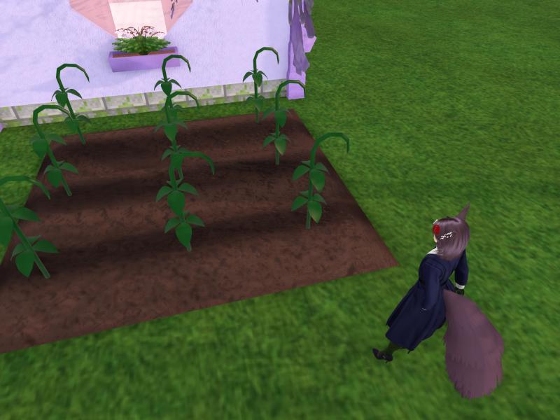 A compressed screenshot from Second Life of my adventures.