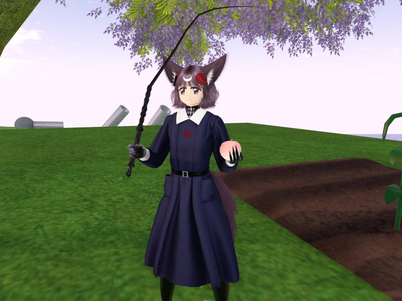 A compressed screenshot from Second Life of my adventures.