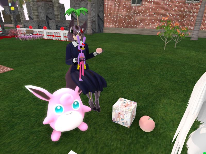 A compressed screenshot from Second Life of my adventures.