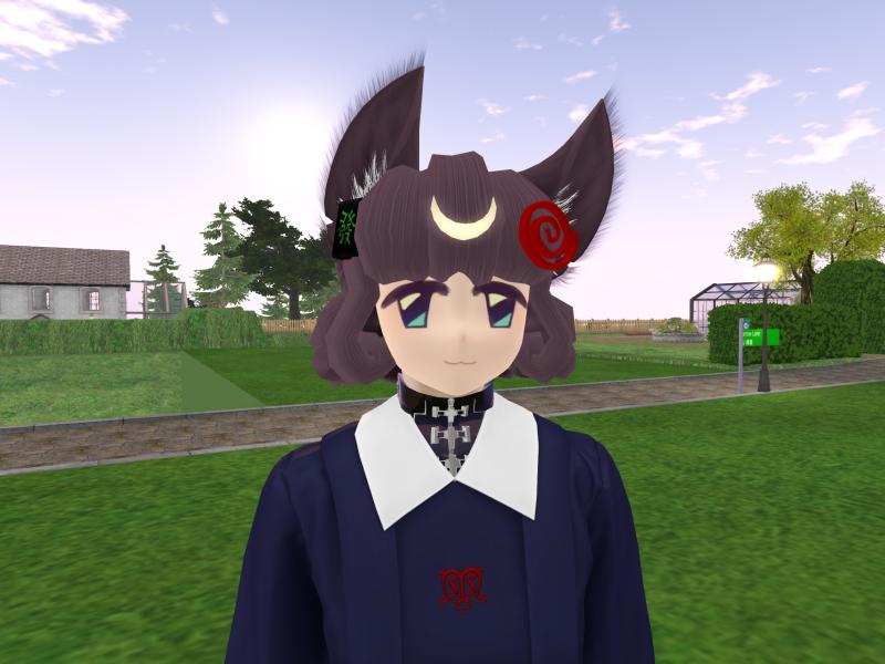 A compressed screenshot from Second Life of my adventures.