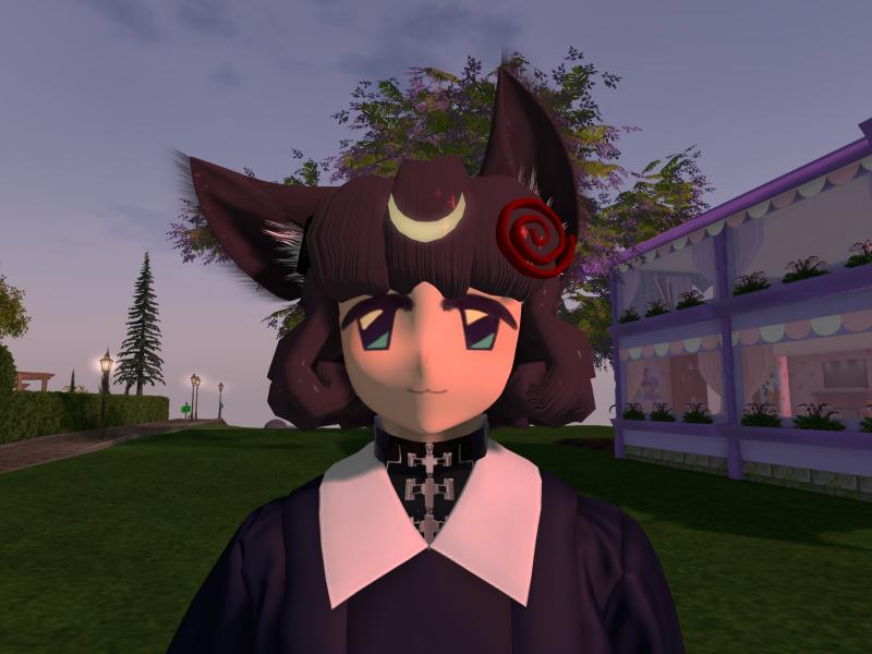 A compressed screenshot from Second Life of my adventures.