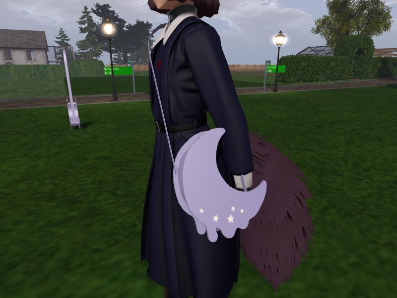 A compressed screenshot from Second Life of my adventures.