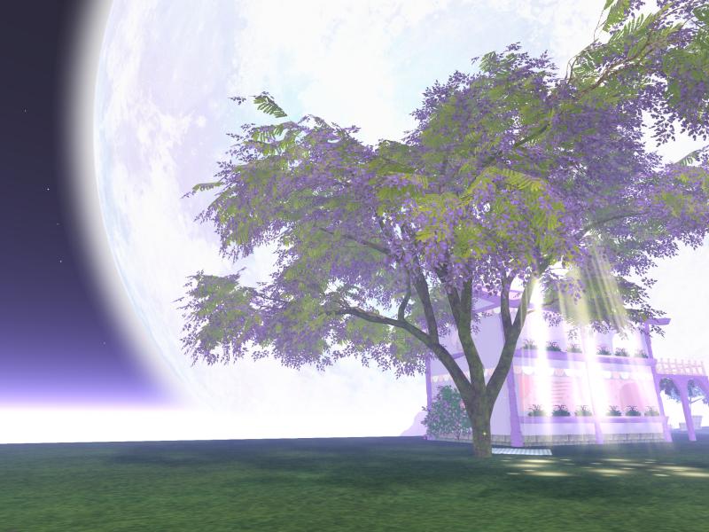 A compressed screenshot from Second Life of my adventures.