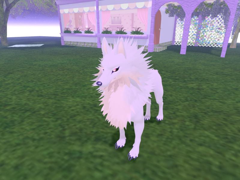 A compressed screenshot from Second Life of my adventures.