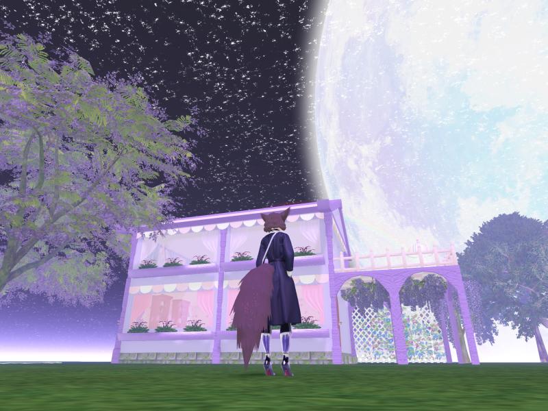 A compressed screenshot from Second Life of my adventures.