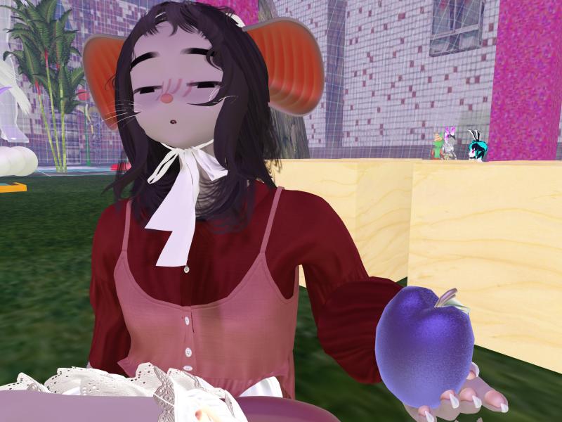 A compressed screenshot from Second Life of my adventures.