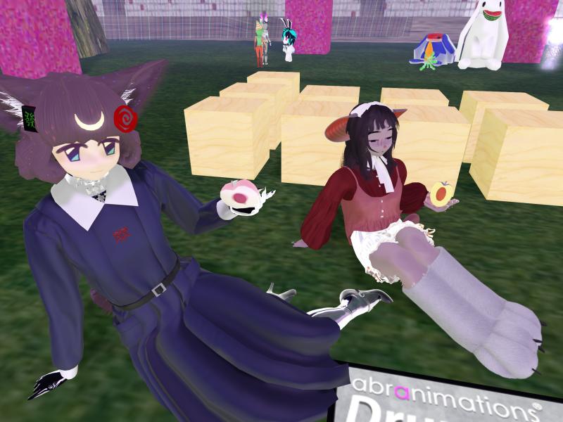 A compressed screenshot from Second Life of my adventures.