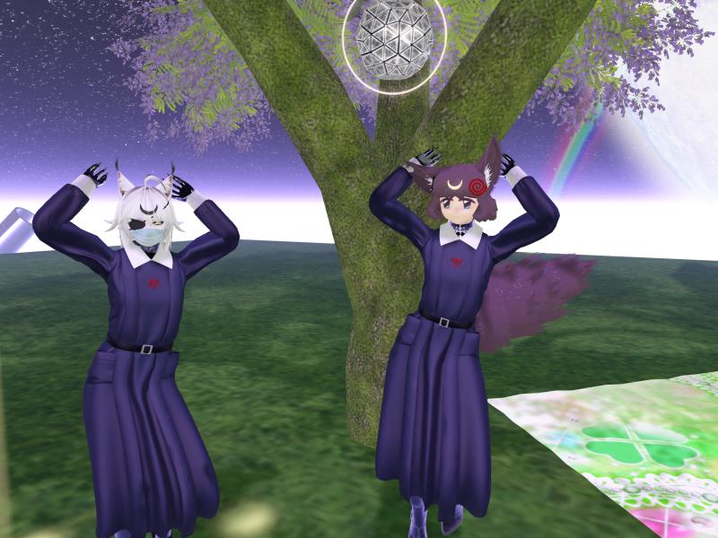 A compressed screenshot from Second Life of my adventures.