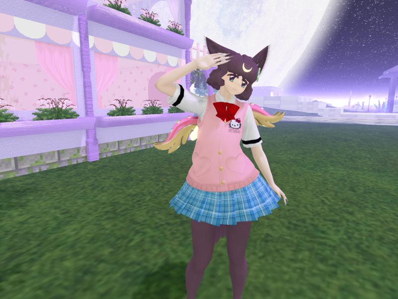 A compressed screenshot from Second Life of my adventures.