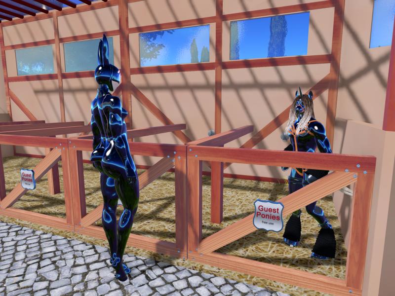 A compressed screenshot from Second Life of my adventures.