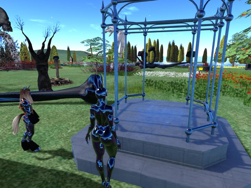 A compressed screenshot from Second Life of my adventures.