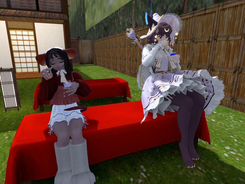 A compressed screenshot from Second Life of my adventures.